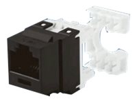 Panduit NetKey Category 6 Punchdown Patch Panel - Modular insert - CAT 6e - UTP - RJ-45 - black