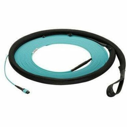 Panduit OM4 48-F Indoor Trunk Cable 30FT