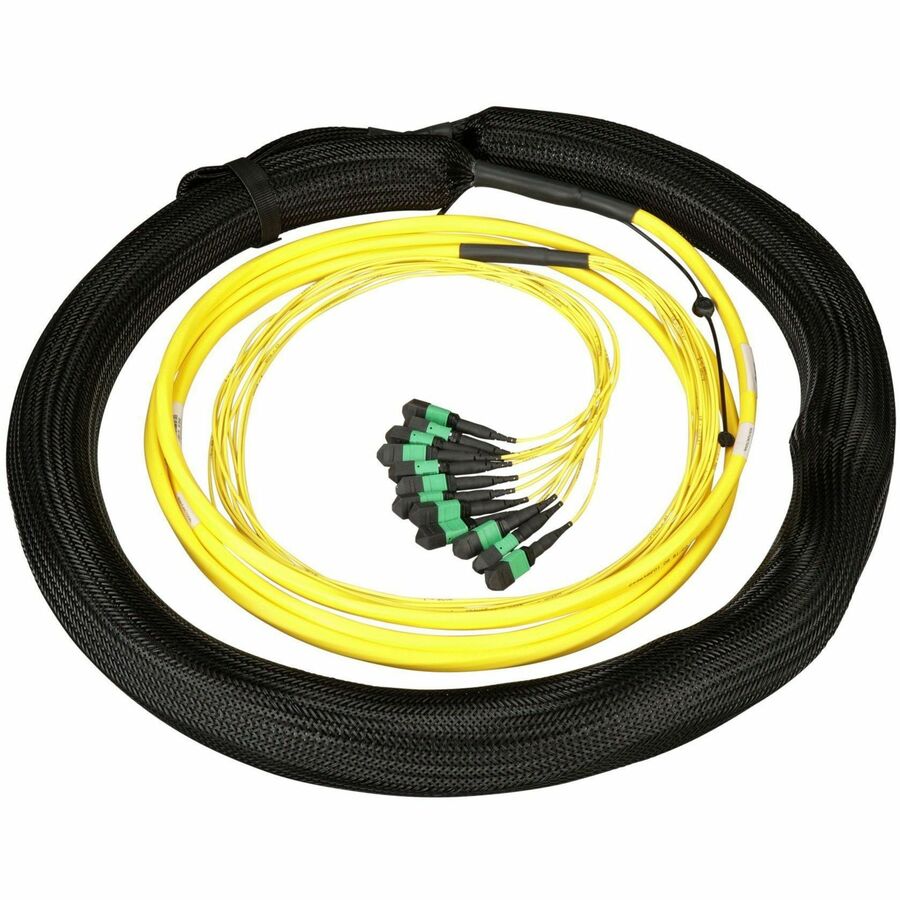 Panduit OS2 576F I/O Trunk OFNR/LSZH/CCA
