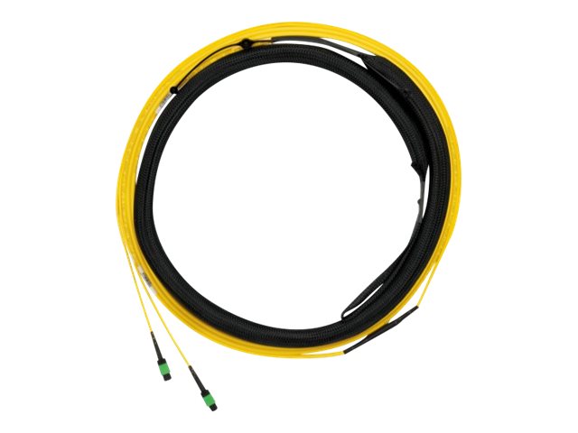 Panduit Opticom QuickNet - Trunk cable - PanMPO single-mode (F) to PanMPO single-mode (F) - 30.5 m - 0.2 in - fiber