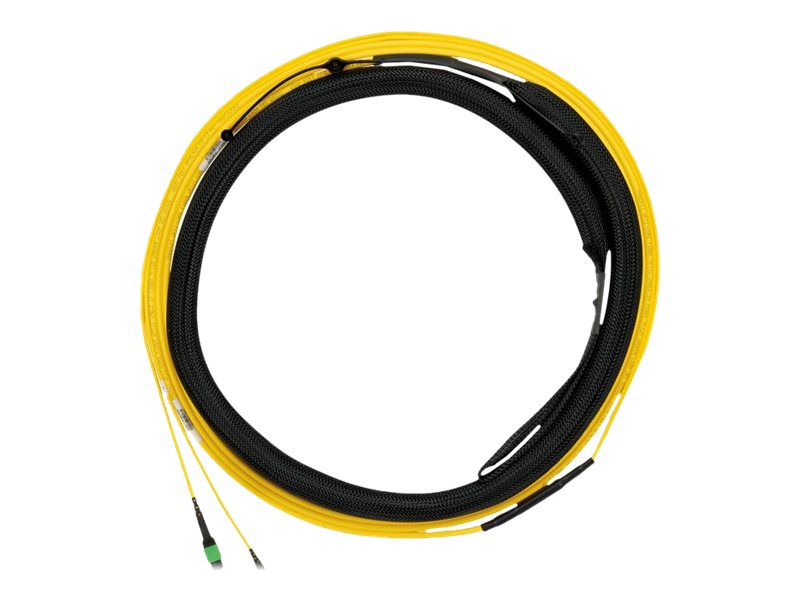 Panduit Opticom QuickNet - Trunk cable - PanMPO single-mode (F) to PanMPO single-mode (F) - 61 m - 0.2 in - fiber optic - 9 / FY9UP77B005F200