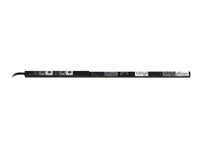 Panduit P24D34M-RD1A Vertical Rack PDU with Monitored Input