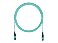 Panduit Pan-Net - Trunk cable - MPO-12/APC single-mode (F) to MPO-12/APC single-mode (F) - 23.8 m - 0.1 in - fiber optic - 50 FRXTP77Y001F078