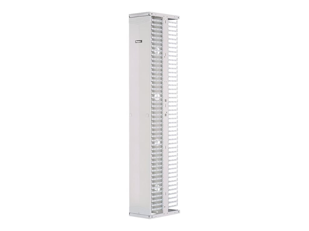 Panduit PatchRunner 2 Dual Sided Manager - Rack cable management panel (vertical) - white - 45U - 19/23"" PR2VSD10WH