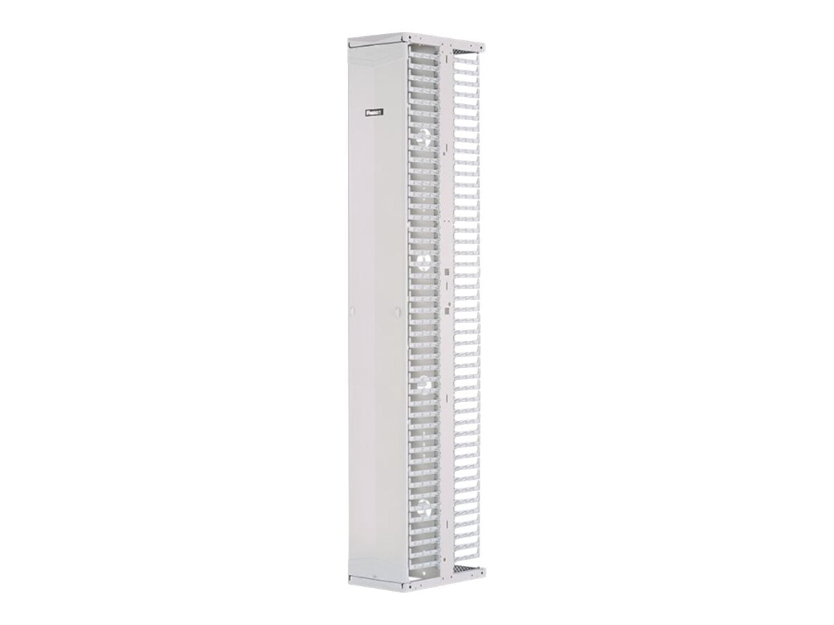 Panduit PatchRunner 2 Dual Sided Manager - Rack cable management panel (vertical) - white - 52U - 19/23"" PR2VSD1296WH