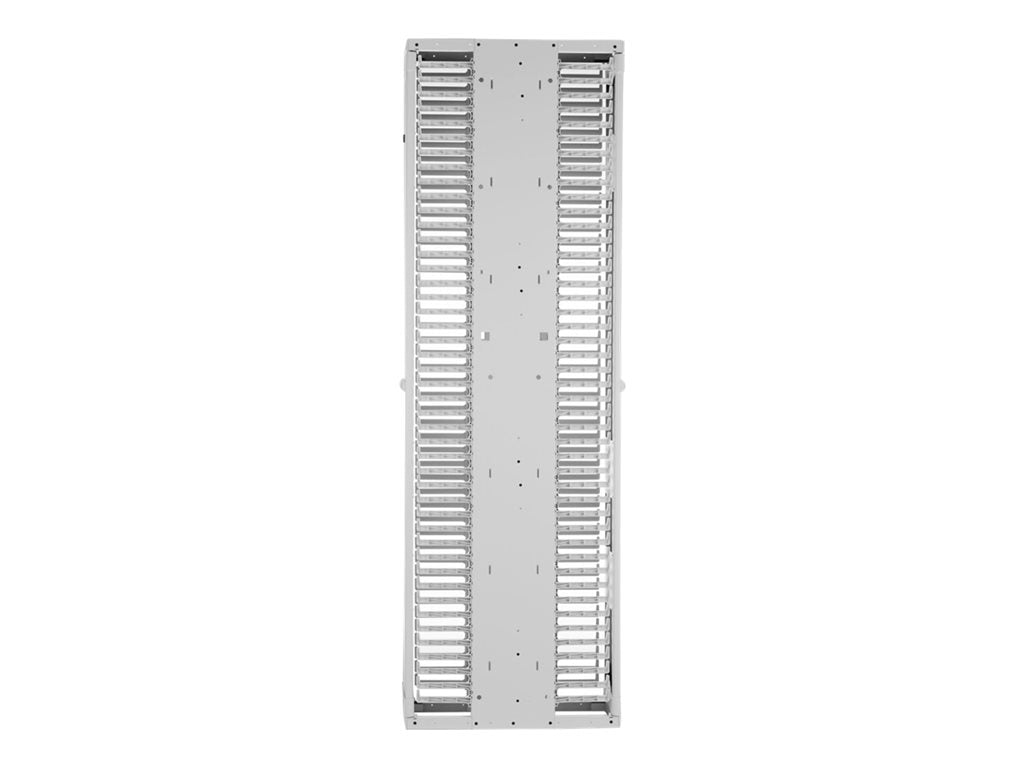 Panduit PatchRunner 2 Enhanced - Cable manager (vertical) - dual sided - white - 45U - 19/23"" PE2VD12WH