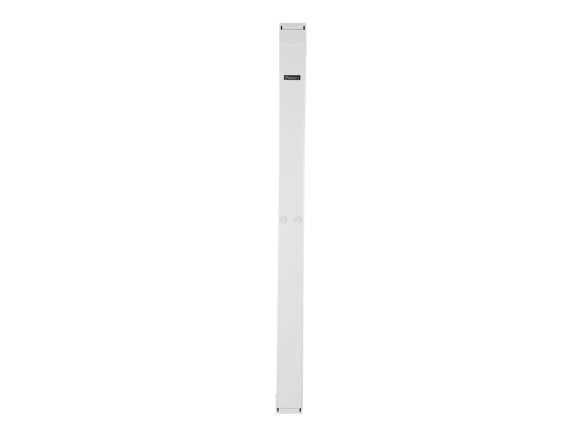 Panduit PatchRunner 2 Enhanced - Cable manager (vertical) - single sided - white - 45U - 19/23"" PE2VFD08WH