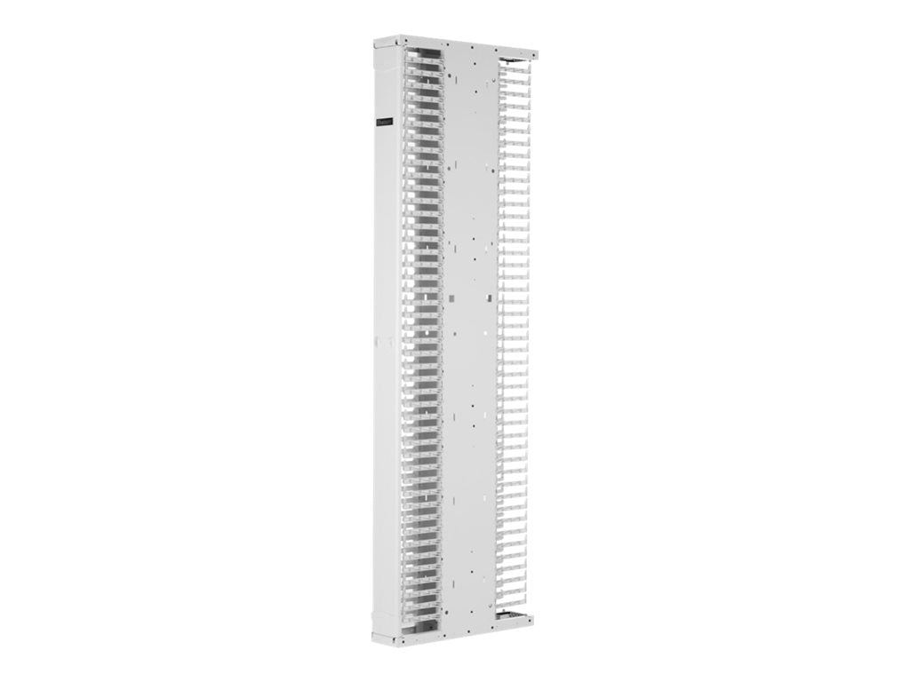 Panduit PatchRunner 2 Enhanced Dual Sided Manager - Rack cable management panel (vertical) - white - 52U - 19/23"" PE2VSD0896WH