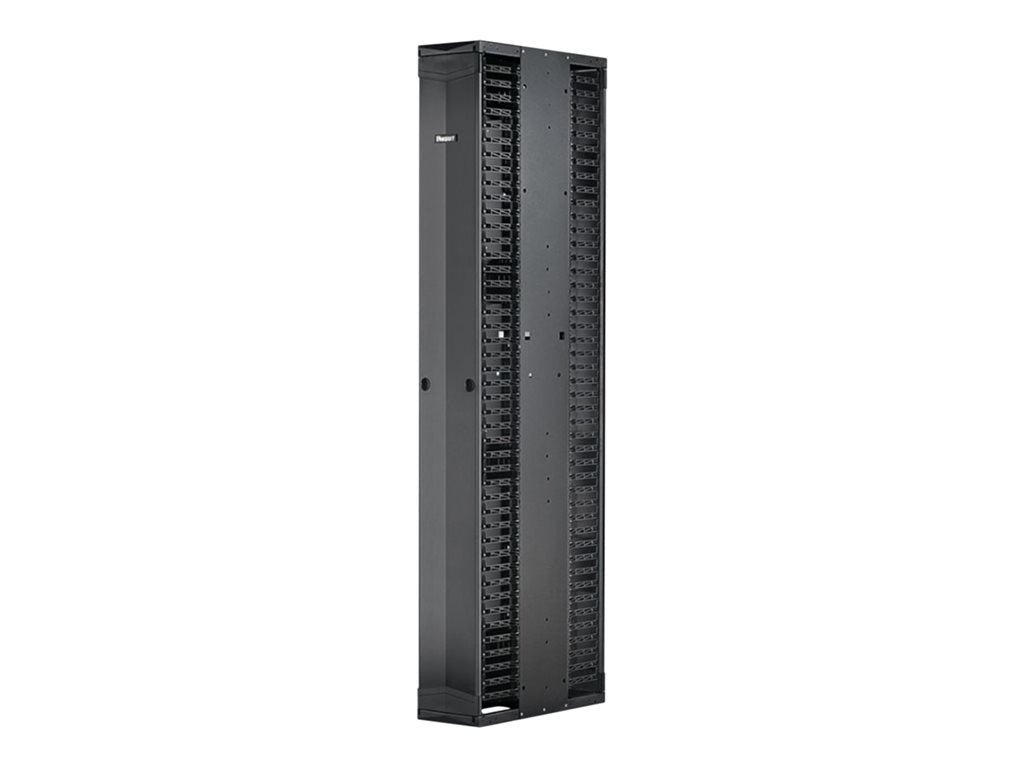 Panduit PatchRunner 2 Enhanced - Rack cable management panel (vertical) - dual sided - black - 45U - 19/23"" PE2VSD08