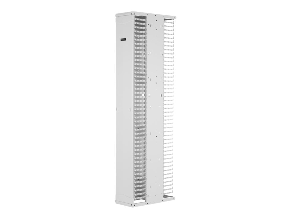 Panduit PatchRunner 2 Enhanced - Rack cable management panel (vertical) - dual sided - white - 45U - 19/23"" PE2VSD10WH