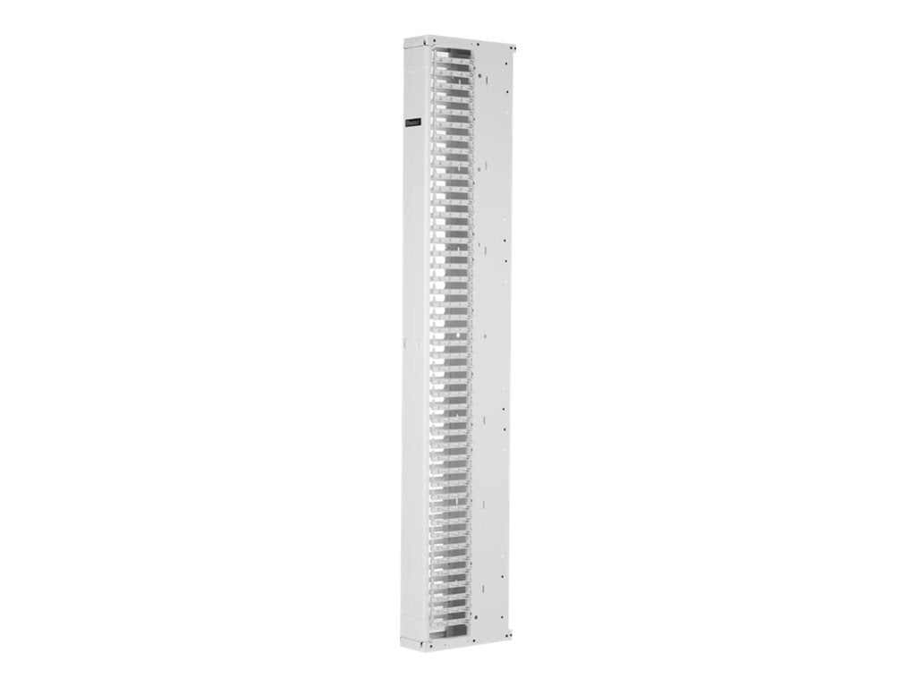 Panduit PatchRunner 2 Enhanced - Rack cable management panel (vertical) - single sided - white - 52U - 19/23"" PE2VFD0896WH