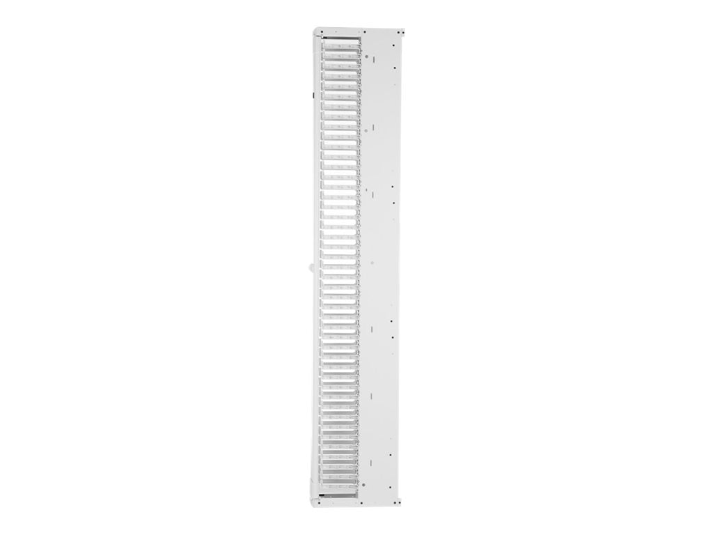 Panduit PatchRunner 2 Enhanced Single Sided Manager - Rack cable management panel (vertical) - white - 45U - 19/23"" PE2VFD06WH
