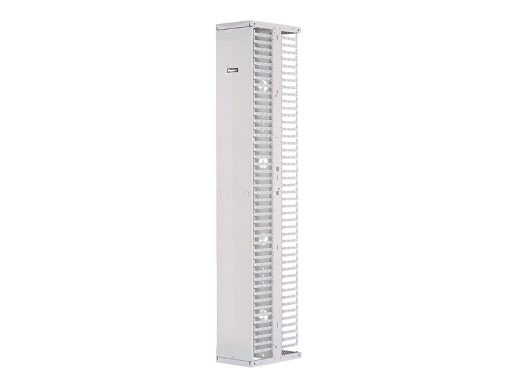 Panduit PatchRunner 2 - Rack cable management panel (vertical) - dual sided - white - 45U - 19/23"" PR2VSD12WH