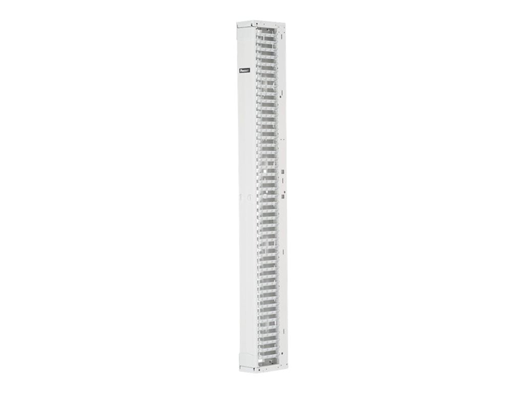Panduit PatchRunner 2 Single Sided Manager - Rack cable management panel (vertical) - white - 52U - 19/23"" PR2VFD0896WH