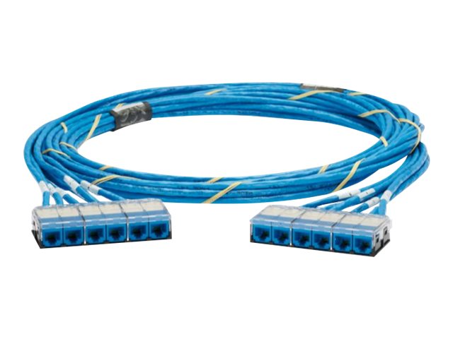 Panduit QuickNet - Network cable - RJ-45 (F) cassette to RJ-45 (F) cassette - 14 ft - UTP - CAT 6 - IEEE 802.3an - plenum - white QCPWCCL0001F014