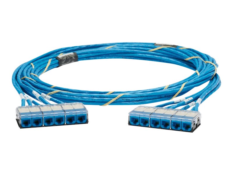 Panduit QuickNet - Network cable - RJ-45 (F) cassette to RJ-45 (F) cassette - 19 ft - UTP - CAT 6 - plenum - blue QCPBCCB0001F019