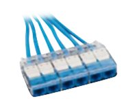 Panduit QuickNet - Network cable - RJ-45 (F) cassette to RJ-45 (F) cassette - 60 ft - UTP - CAT 6a - plenum - blue QZPBCCB0001F060