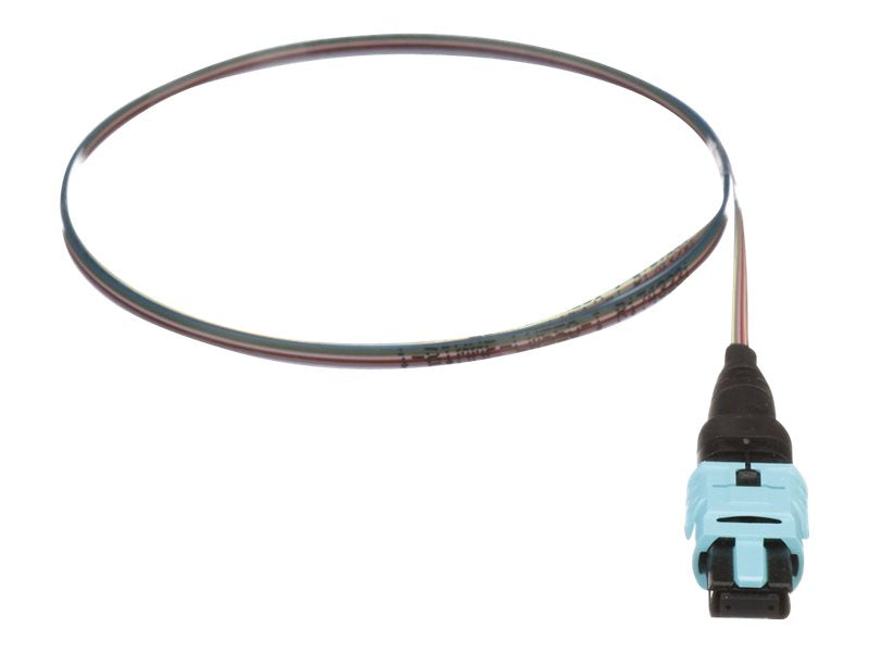 Panduit QuickNet PanMPO/MPO Ribbon Pigtail Assembly - Pigtail - PanMPO multi-mode (F) - 3 m - fiber optic - 50 / 125 micron - FZTCN7NNNONM003