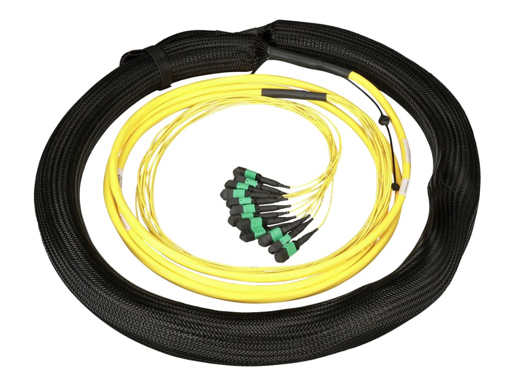 Panduit QuickNet - Trunk cable - MPO-12/APC single-mode (F) 1 m breakout, pulling eye to MPO-12/APC single-mode (F) 1 m breakout F8BNM5E5EAAM050
