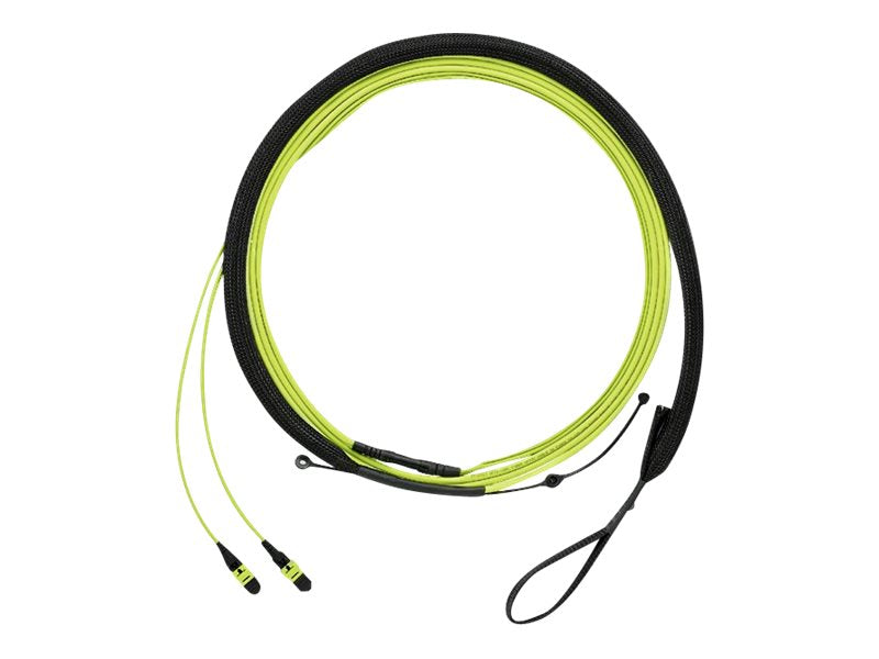 Panduit QuickNet - Trunk cable - PanMPO multi-mode (F) molded transition with 1m breakout, pulling eye to PanMPO multi-mode (F) FWUYL7575KAM063