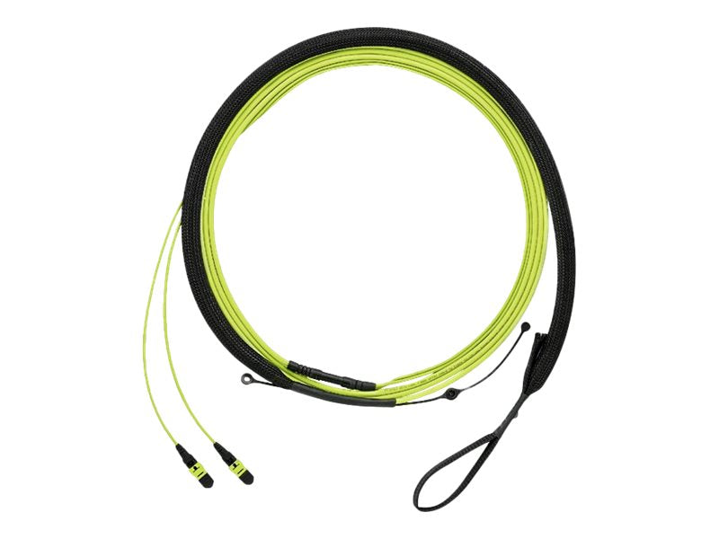 Panduit QuickNet - Trunk cable - PanMPO multi-mode (F) molded transition with 1m breakout to PanMPO multi-mode (F) molded transition FWUYL7575KNM020