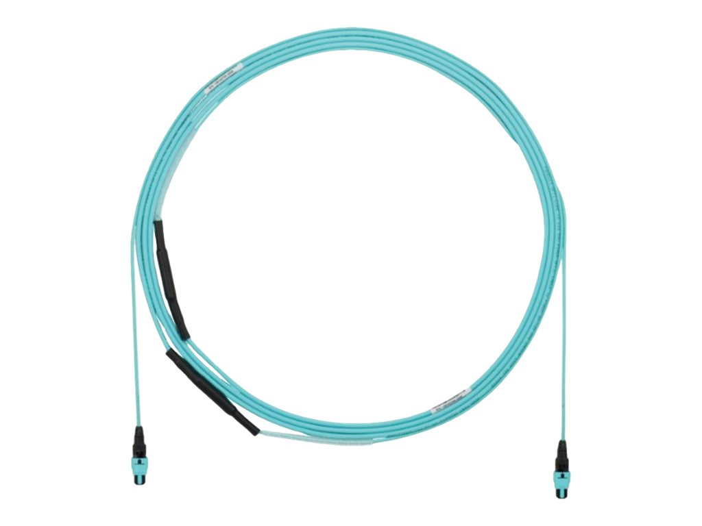 Panduit QuickNet - Trunk cable - PanMPO multi-mode (F) to PanMPO multi-mode (F) - 12.5 m - 0.2 in - fiber optic - 50 / 125 micron FYZTP77Y006F041