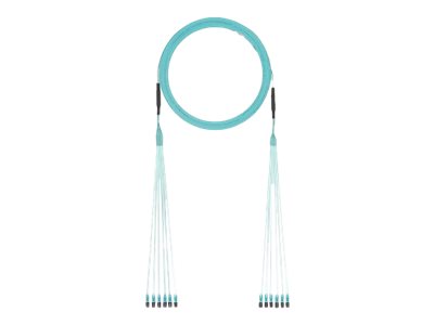 Panduit - Trunk cable - LC multi-mode to LC multi-mode - 9.14 m - 0.2 in - fiber optic - duplex - 50 / 125 micron - OM4 - OFNP FYZWPLLO005F030