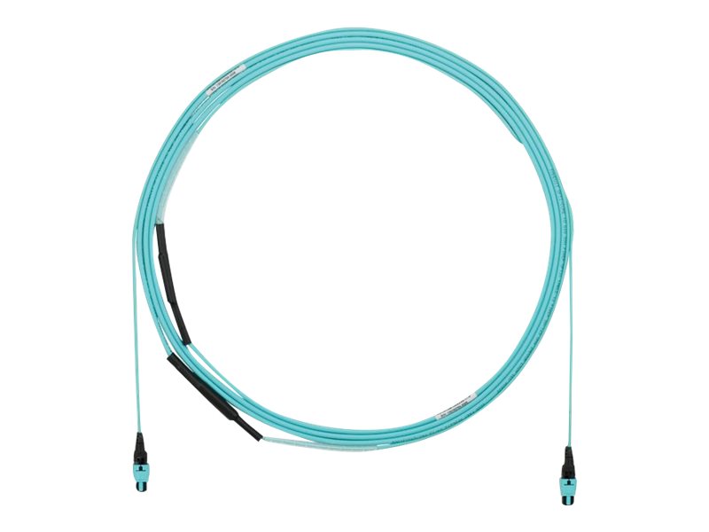 Panduit - Trunk cable - PanMPO multi-mode (F) to PanMPO multi-mode (F) - 12.2 m - 0.2 in - fiber optic - 50 / 125 micron - OM4 FYZTP77X005F040
