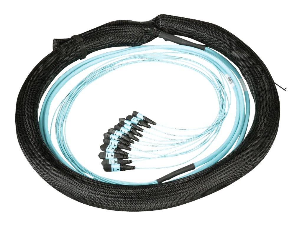 Panduit - Trunk cable - PanMPO multi-mode (F) to PanMPO multi-mode (F) - 35 m - 0.4 in - fiber optic - 50 / 125 micron - OM4 FYZAP77X005M035