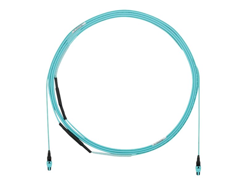 Panduit - Trunk cable - PanMPO multi-mode (F) to PanMPO multi-mode (F) - 7.62 m - fiber optic - 50 / 125 micron - OM4 - OFNP FYZUP77Y005F025