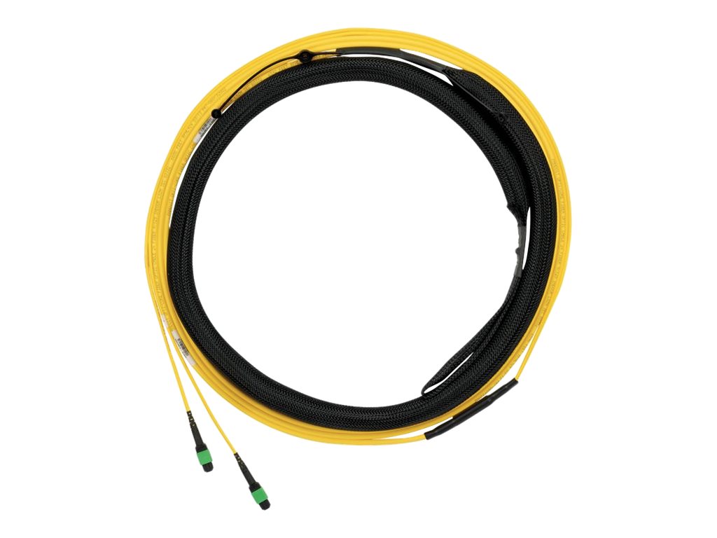 Panduit - Trunk cable - PanMPO single-mode (F) to PanMPO single-mode (F) - 10 m - 0.2 in - fiber optic - 9 / 125 micron - OS2 FY9TP77A005M010