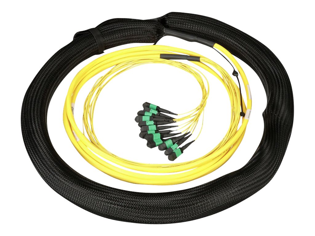 Panduit - Trunk cable - PanMPO single-mode (F) to PanMPO single-mode (F) - 45 m - 0.4 in - fiber optic - 9 / 125 micron - OS2 FY9AP77A005M045