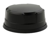 Panorama Antennas LG-IN2446 - Antenna - radome - navigation, cellular, Wi-Fi - 9 dBi (for 4.9 - 6 GHz), 9 dBi (for 2.4 GHz), LG-IN2446-LC