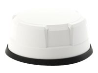 Panorama Antennas LP-IN2443 4x4 MIMO LTE Antenna