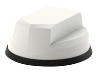 Panorama Antennas LP-IN2455 Antenna LP-IN2455-W