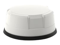 Panorama MAKO LPMM4-6-60 - Antenna - dome - cellular - 9 dBi - omni-directional - panel mountable