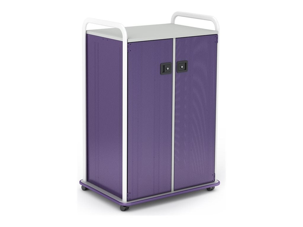 Paragon A&D Crossfit Storage - Trolley - 12 shelves - 2 doors - 16 gauge tubular steel, TFM - frost, lello, wisdom CFD42WDSHLV-918YZY