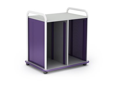 Paragon A&D Crossfit Storage - Trolley - 32 drawers - 16 gauge tubular steel, TFM CFD60OFTOTES17-918AZA