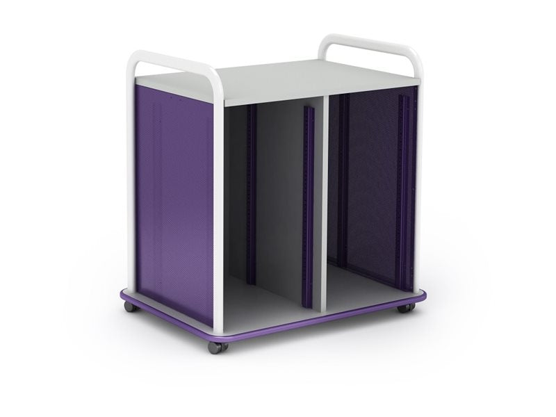Paragon A&D Crossfit Storage - Trolley - 32 drawers - 16 gauge tubular steel, TFM CFD60OFTOTES17-918AZA