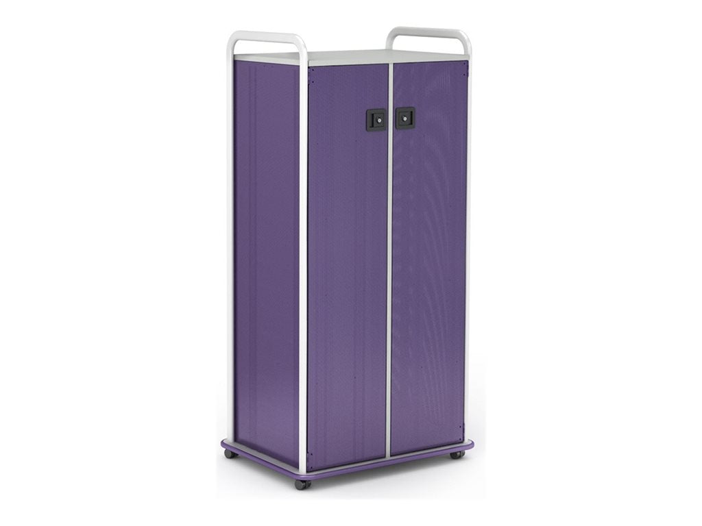 Paragon A&D Crossfit Storage - Trolley - 32 drawers - 2 doors - 16 gauge tubular steel, TFM - frost, cool gray, wisdom CFD60WDTOTES17-918OZO
