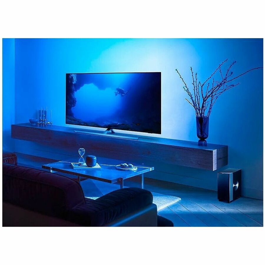 Philips Fidelio TAFW1 Subwoofer System - 210 W RMS - Black