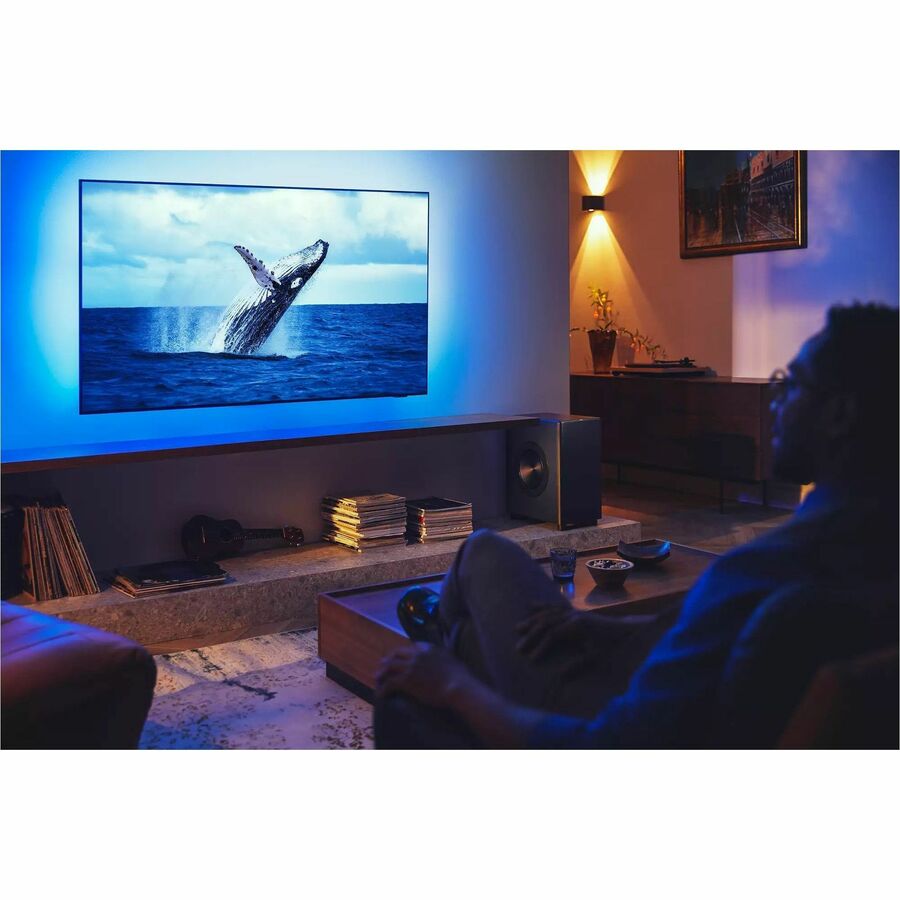 Philips Fidelio TAFW1 Subwoofer System - 210 W RMS - Black