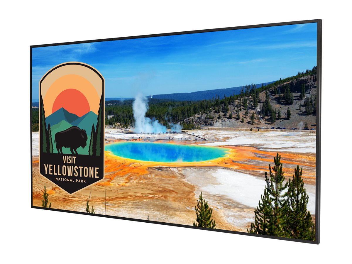 Planar Simplicity M Series SLM502-T 50" 4K LED Display for Professionals