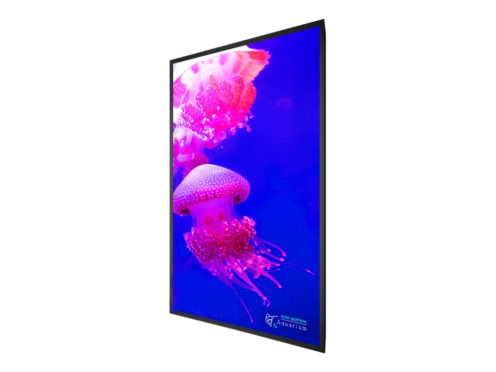 Planar UltraRes X URX75 - 75 Diagonal Class LED-backlit LCD display - interactive digital signage - 4K UHD (2160p) 3840 x 2160 998-2161-00