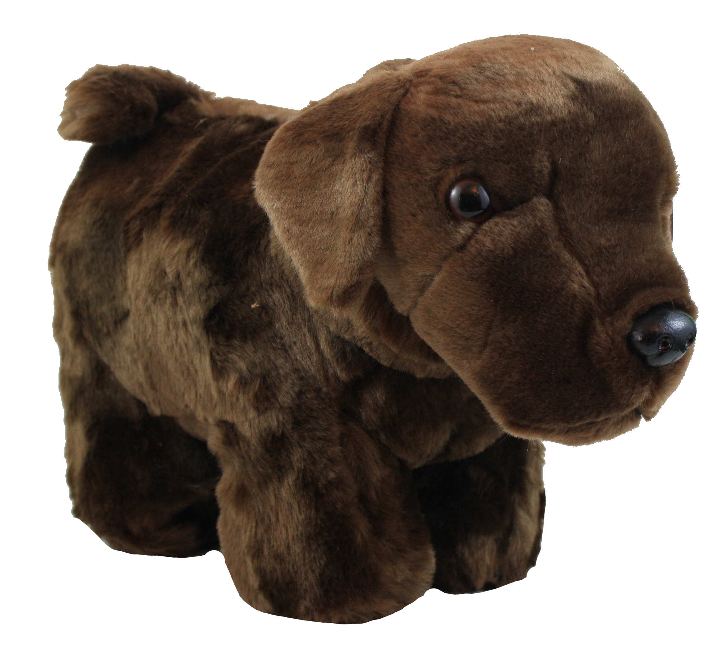 Plush Coin Bank - Chocolate Lab