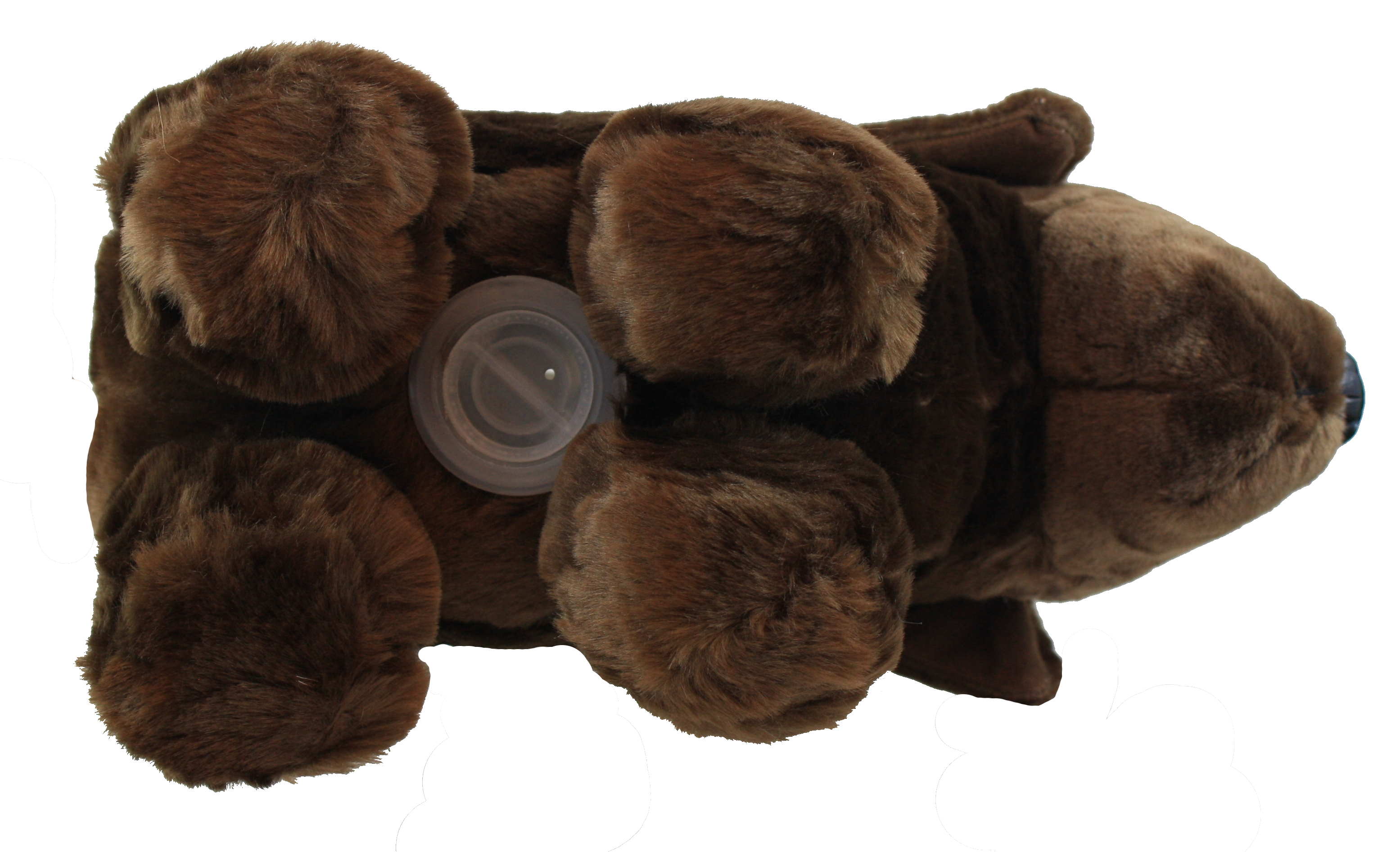 Plush Coin Bank - Chocolate Lab