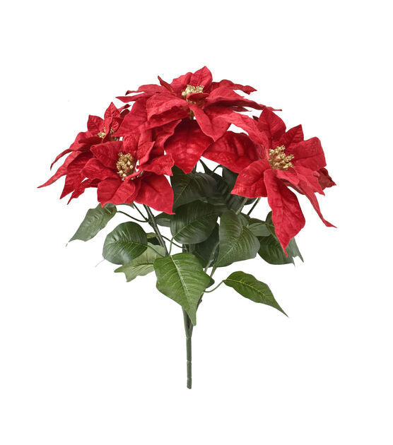 Poinsettia Bush - 20 inch - 5 Head - Deep Red