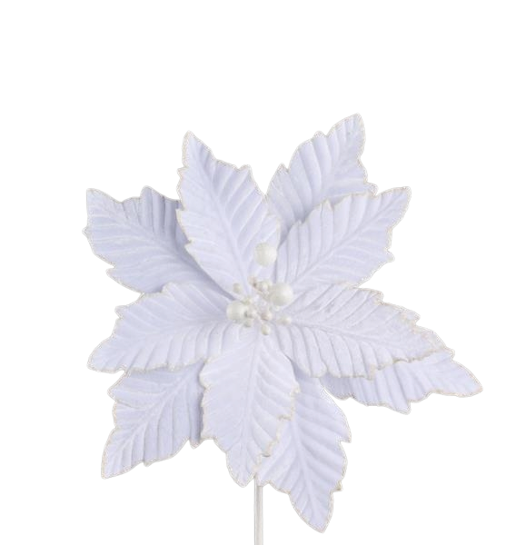 Poinsettia Pick - White - 12 inch Bloom - 10 Inch Stem