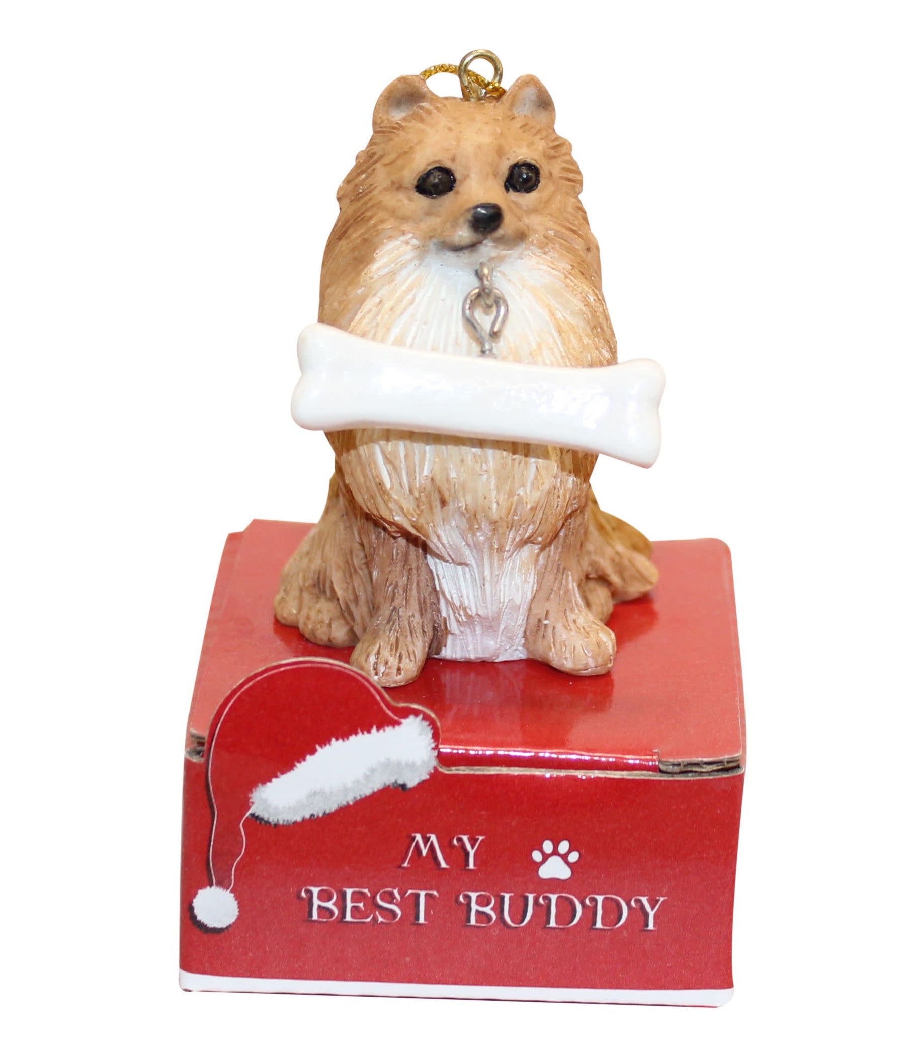 Pomeranian with Bone Ornament