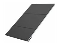 Portable Monitor 16 Inch - IPS WQXGA USB-C Display | LG 16MR70.ASDU